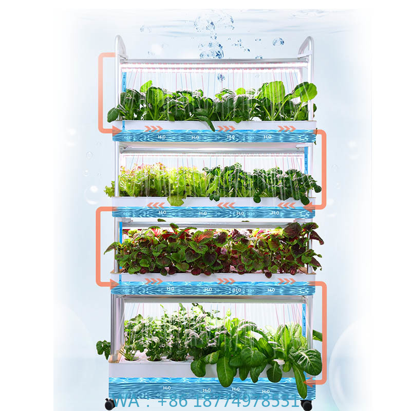 ydroponic Planting System Smar - đánh giá và giá Home Automation System Diy