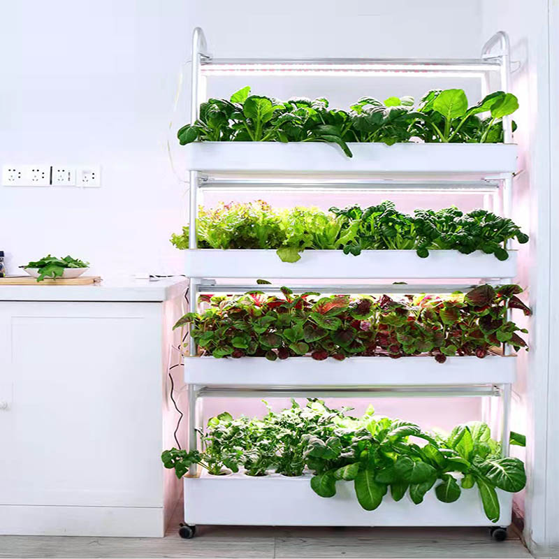 ydroponic Planting System Smar - đánh giá và giá Home Automation System Diy