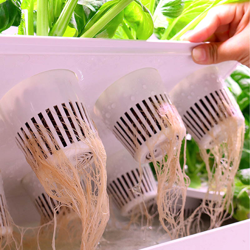 ydroponic Planting System Smar - đánh giá và giá Home Automation System Diy