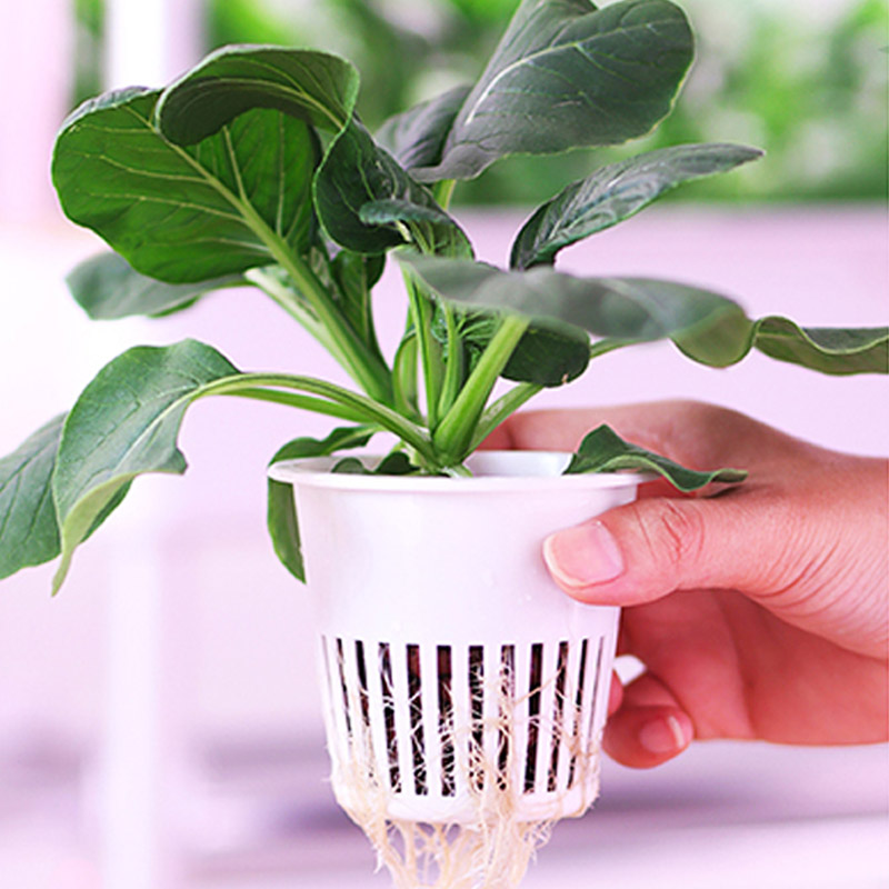 ydroponic Planting System Smar - đánh giá và giá Home Automation System Diy